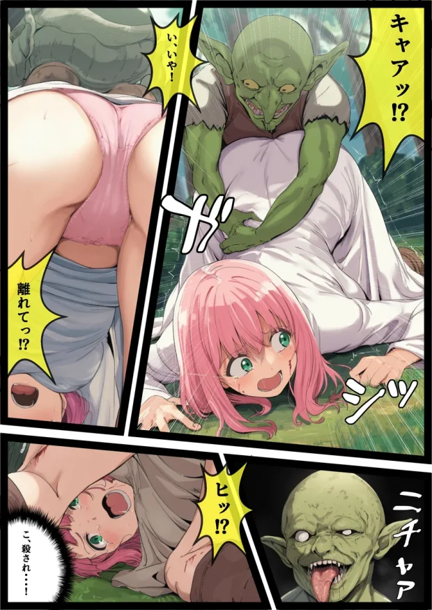 ゴブリン姦〜強いメスも弱いメスも誰もが皆孕み袋〜 013